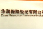保险中的投保人主要有什么责任？