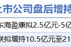 3月3日增减持汇总:格力电器等2股增持 天马新材等4股减持(表) 3月3日增减持汇总:格力电器等2股增持 天马新材等4股减持(表)