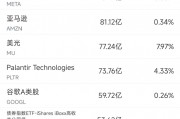 12月20日美股成交额前20：Palantir获瑞银看好，股价大涨8.5%