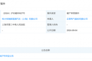 恒大恒驰汽车上海公司被申请破产审查 恒大恒驰汽车上海公司被申请破产审查