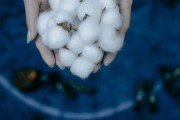 棕榈油期货一手的盈利如何估算？这种估算方法有哪些要点？