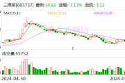 三棵树:2024年半年度净利润约2.1亿元