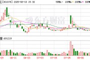 孩子王公布2025半年度分配预案 拟10派0.2元